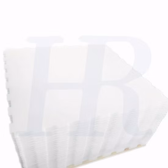 ODM キッズ ダブル アイス ホッケー スケート ファン スケート フリー スタイル